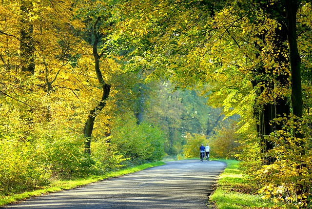 výlet na kole